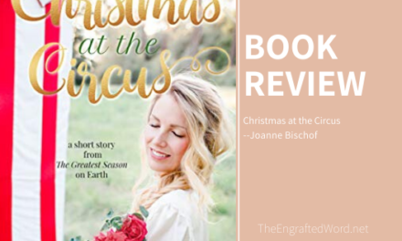 Christmas at the Circus – My Review