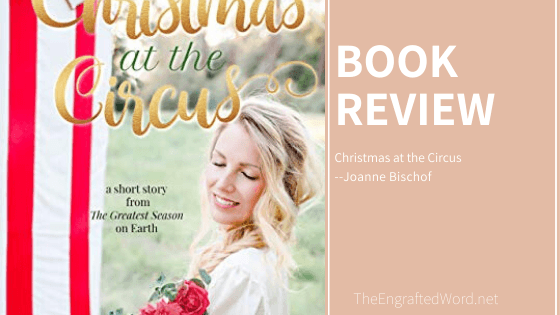 Christmas at the Circus – My Review
