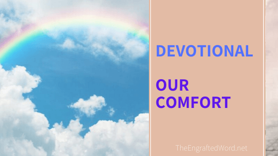 Our Comfort