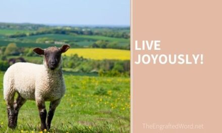Live Joyously!