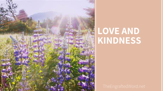 Love and Kindness